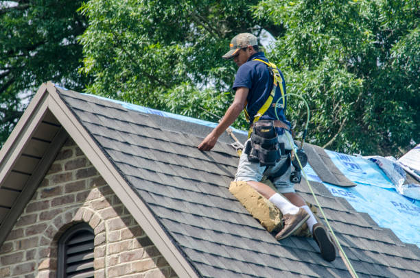Quick and Trustworthy Emergency Roof Repair Services in Ocala, FL
